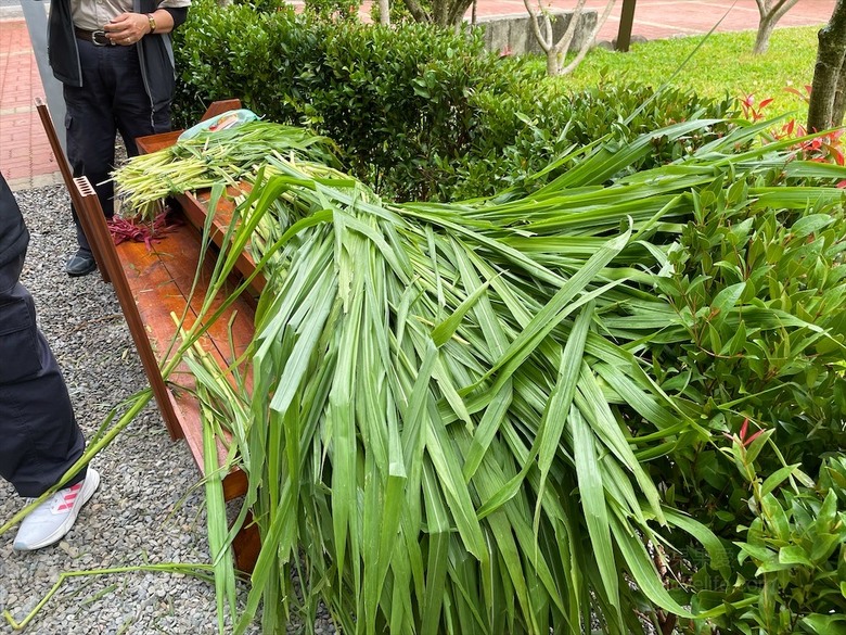 點我看大圖 許多可愛的超萌小動物,有超人氣的水豚君、笑笑羊,可以零距離和牠們互動