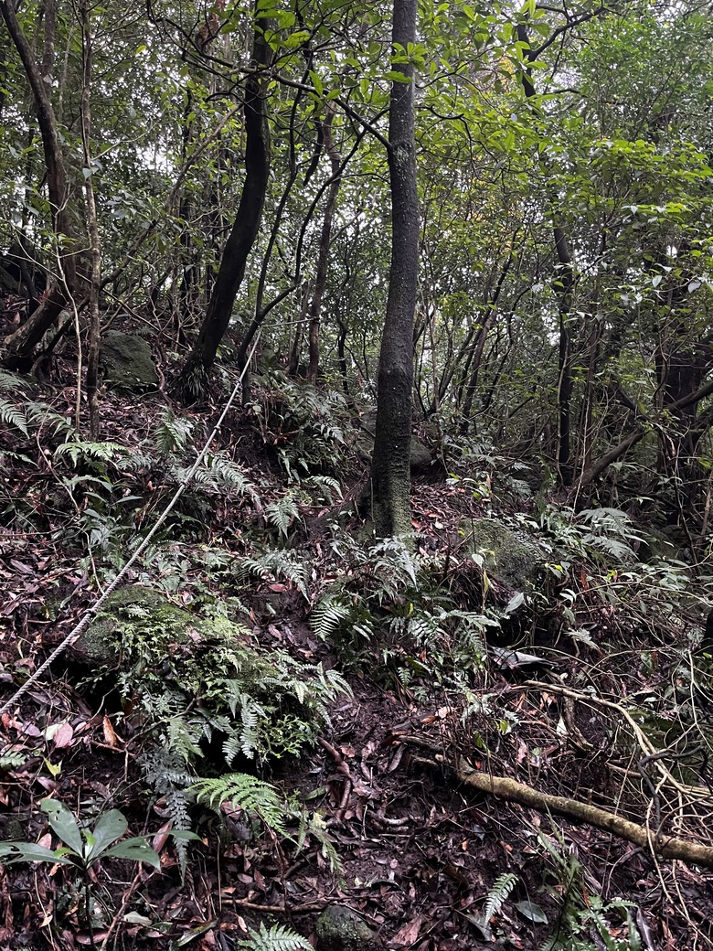 東湖_金山大縱走(鞋子順便玩泥巴)