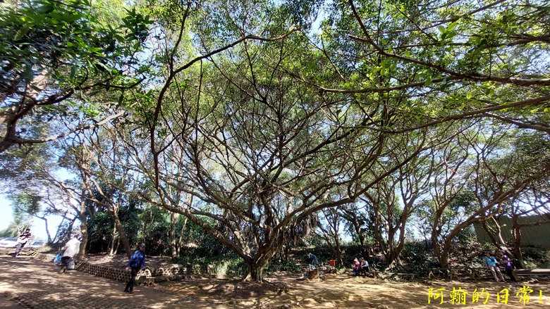 【桃園郊山】桃園的知名後花園 虎頭山公園|桃園神社|尋 曾經的小百岳 - 虎頭山三角點