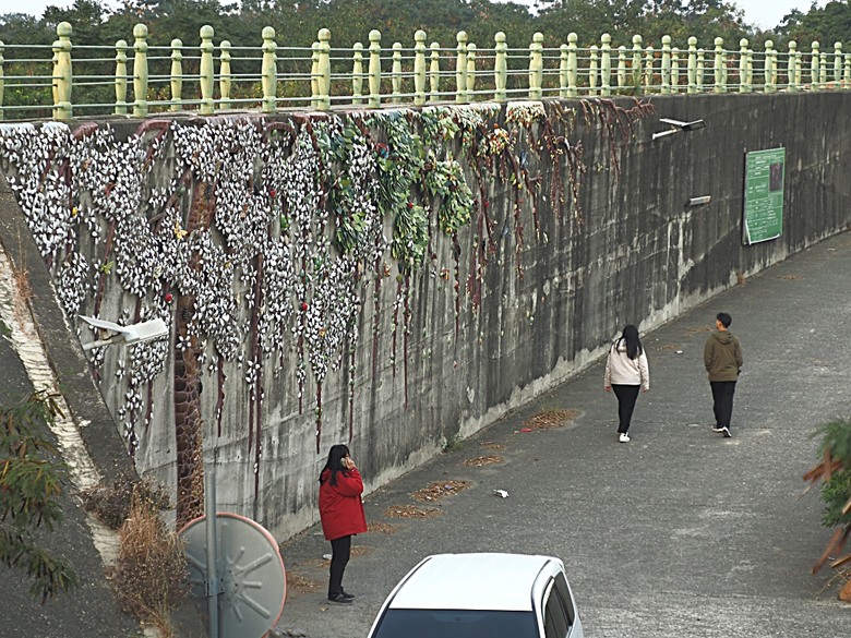 新港向日葵花田、古笨港文化剪黏大壁畫、復興鐵橋、奉天宮、培桂堂&星巴克、新港戲院,順便享用美味生炒鴨肉羹與鹹圓仔、喝咖啡 — 歲末年終新港賞花與人文景點行旅 —【小惡魔畫蛇添福】補篇(3)