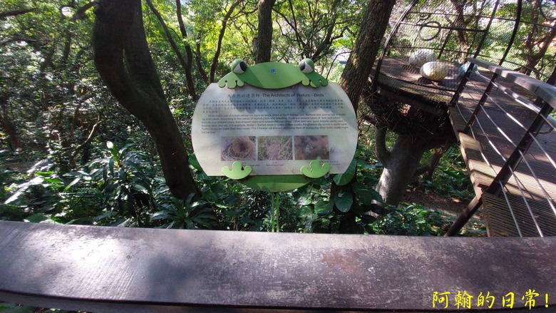 【桃園郊山】桃園的知名後花園 虎頭山公園｜桃園神社｜尋 曾經的小百岳 - 虎頭山三角點