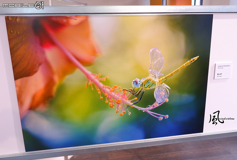 點我看大圖 ViewSonic 5th ColorPro Awards「Momentum躍動」國際視覺藝術暨攝影展體驗分享