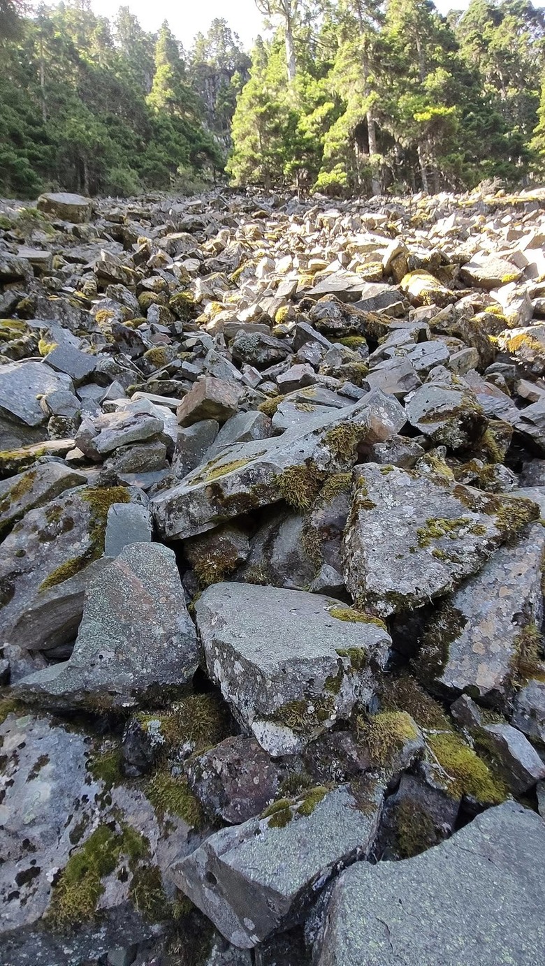 【小惡魔畫蛇添福】雪山主峰|讀萬卷書不如行萬里路