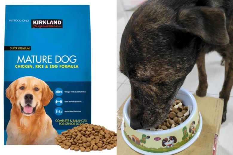 給毛孩的飼料會常換嗎?
