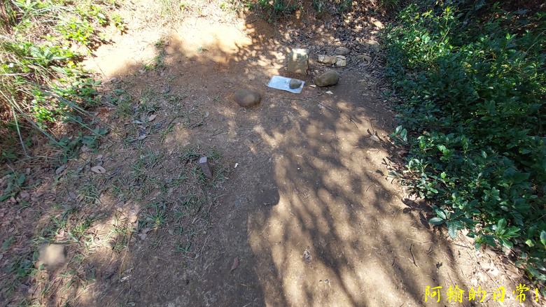 【桃園郊山】桃園的知名後花園 虎頭山公園｜桃園神社｜尋 曾經的小百岳 - 虎頭山三角點