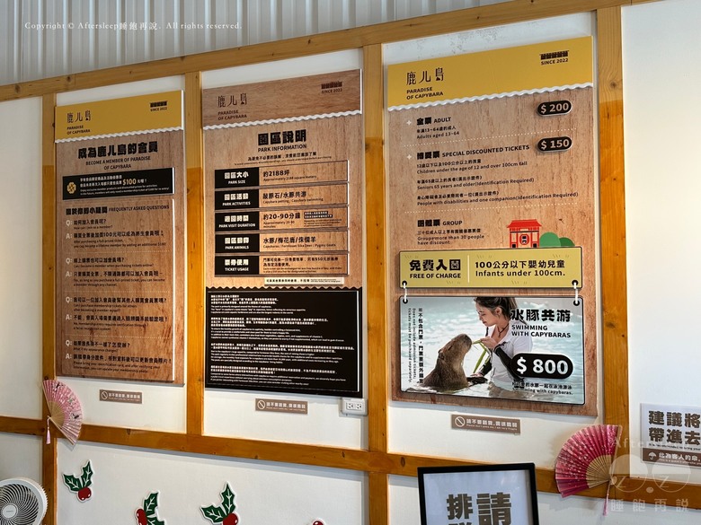 屏東恆春｜墾丁鹿ㄦ島水豚生態園區 Paradise of capybara ＿近距離看到水豚還可以一起游泳／親子放電的療癒好地方