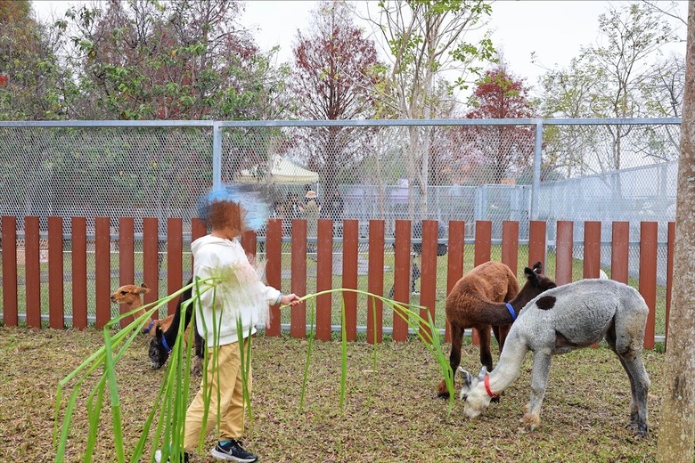 點我看大圖 許多可愛的超萌小動物,有超人氣的水豚君、笑笑羊,可以零距離和牠們互動