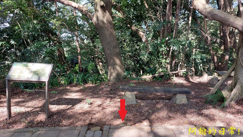 【桃園郊山】桃園的知名後花園 虎頭山公園｜桃園神社｜尋 曾經的小百岳 - 虎頭山三角點