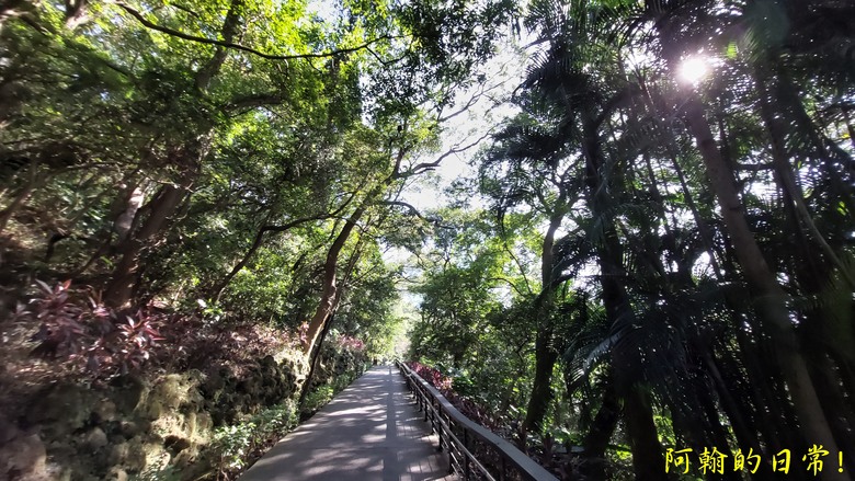【桃園郊山】桃園的知名後花園 虎頭山公園｜桃園神社｜尋 曾經的小百岳 - 虎頭山三角點
