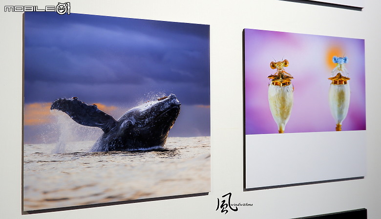 點我看大圖 ViewSonic 5th ColorPro Awards「Momentum躍動」國際視覺藝術暨攝影展體驗分享