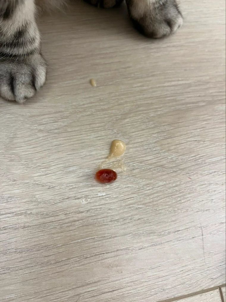 [請益]大家都怎麼餵貓咪吃膠囊？