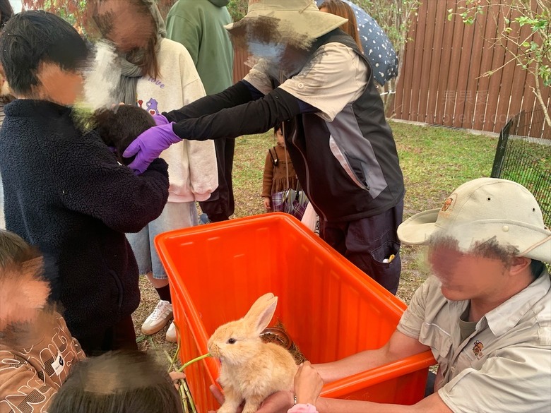點我看大圖 許多可愛的超萌小動物,有超人氣的水豚君、笑笑羊,可以零距離和牠們互動