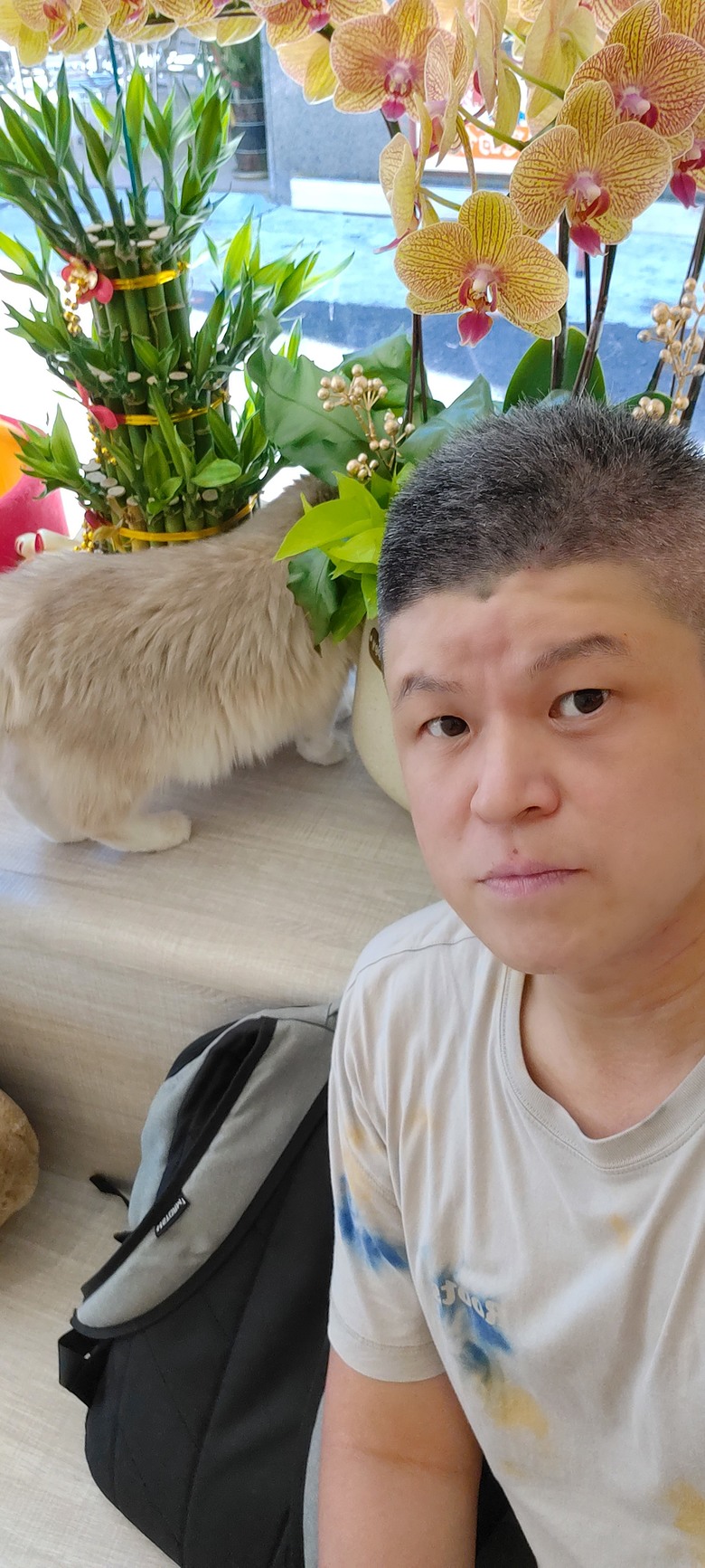 分享貓咖啡廳