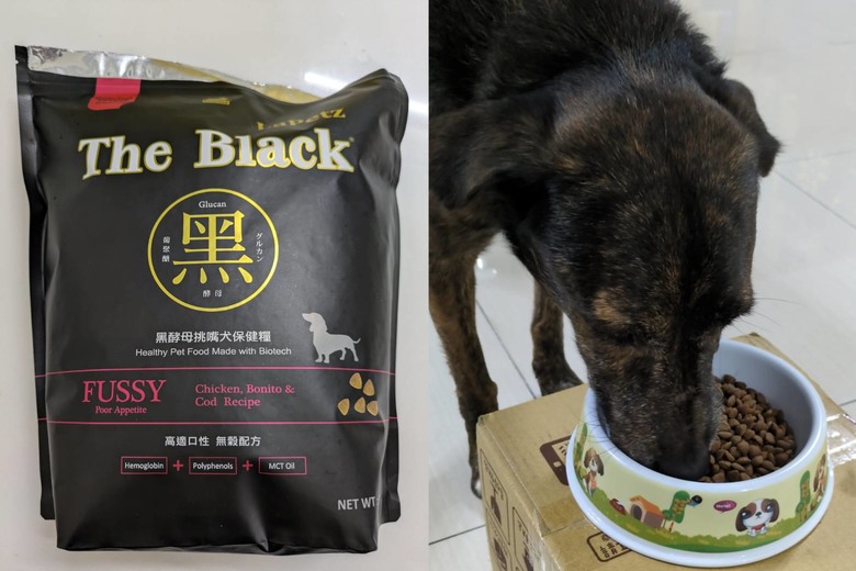 給毛孩的飼料會常換嗎?