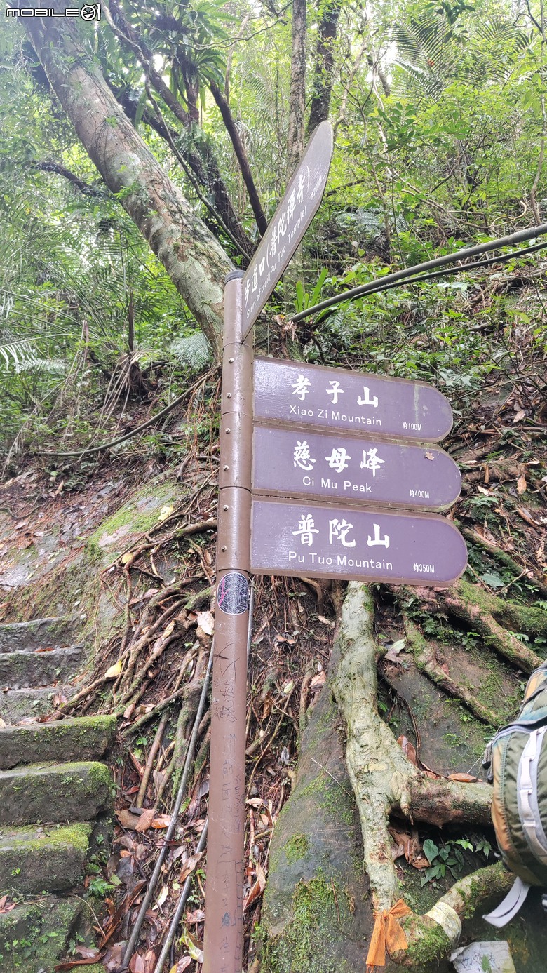 【小惡魔畫蛇添福】新春北部 | 走春好地方 | 孝子山|慈母峰|普陀山