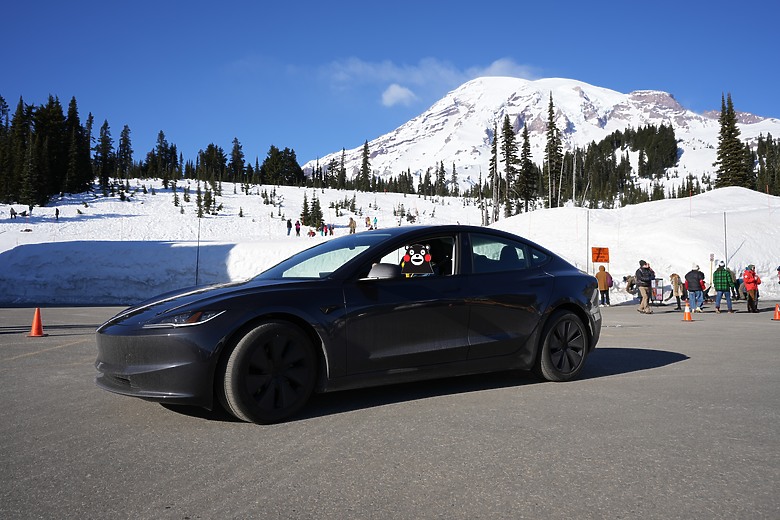 Tesla能耗問題
