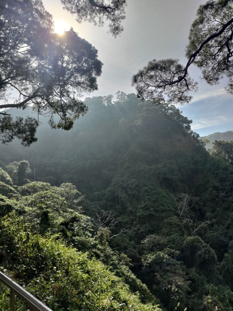 【小惡魔畫蛇添福】田中森林公園登山步道健行趣