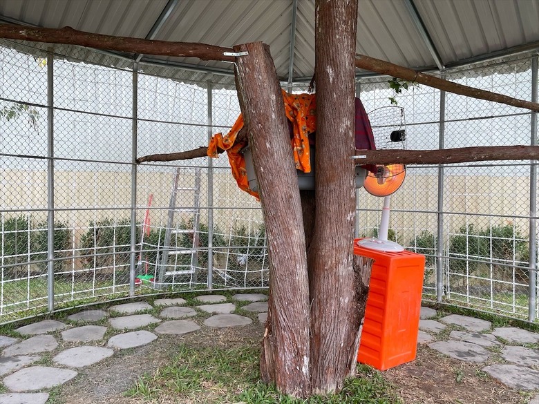 點我看大圖 許多可愛的超萌小動物,有超人氣的水豚君、笑笑羊,可以零距離和牠們互動