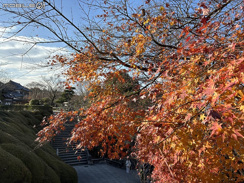 下集｜用旅行編織愛的記憶：一趟陪伴媽媽與孩子的日本之旅(Day2-京都、嵐山與心齋橋、十三車站篇)