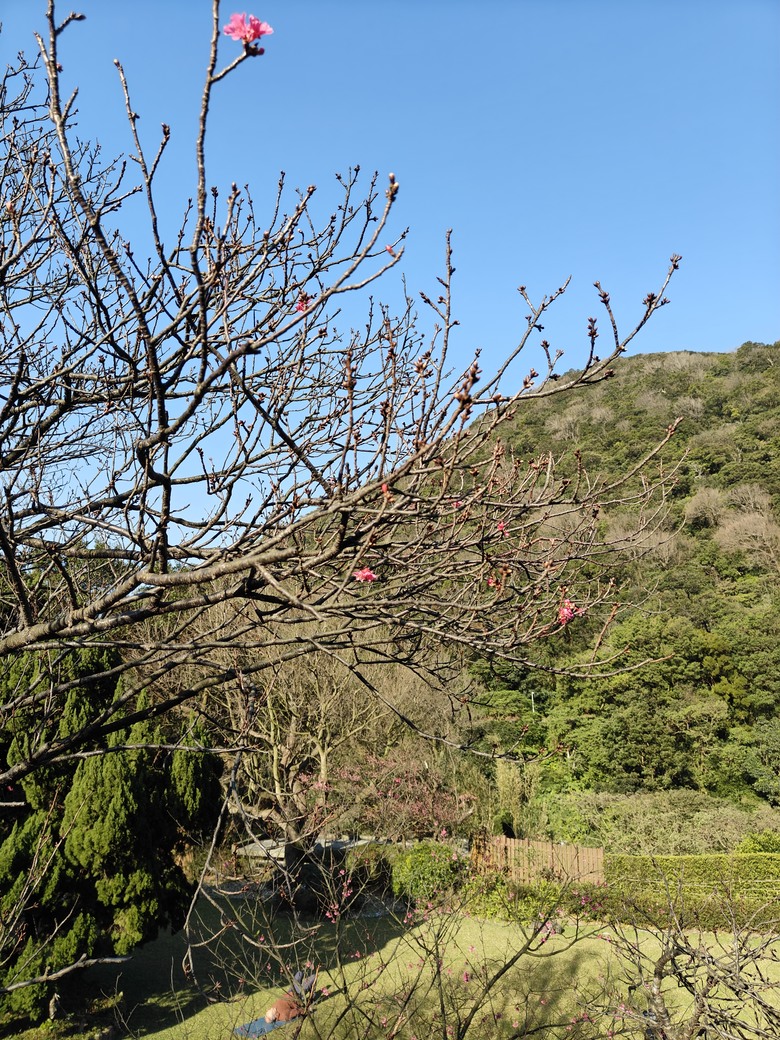 雀鳥泡湯