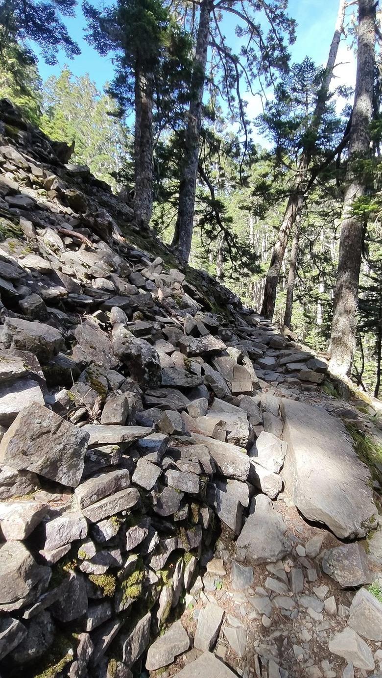 【小惡魔畫蛇添福】雪山主峰|讀萬卷書不如行萬里路