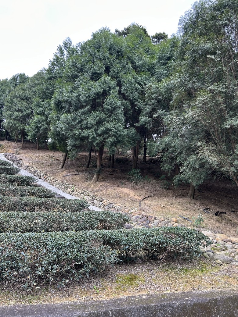 1/11 桃園-新竹-中壢A28環北站，逆O，calamita gpsart 楓葉製圖輕旅行