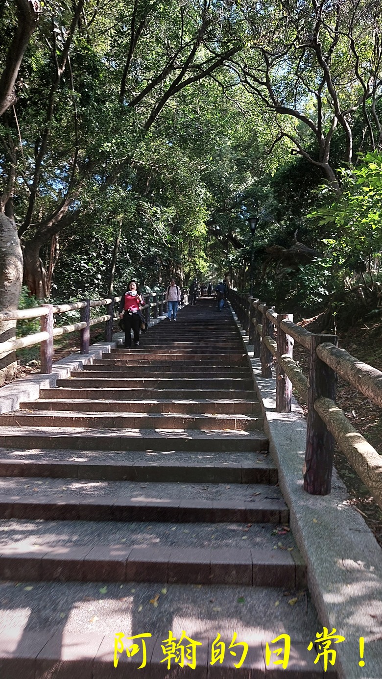 【桃園郊山】桃園的知名後花園 虎頭山公園｜桃園神社｜尋 曾經的小百岳 - 虎頭山三角點