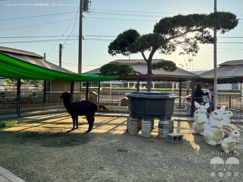 高雄梓官｜嘎逼&牛奶互動園區＿近距離與水豚、狐獴互動親子景點