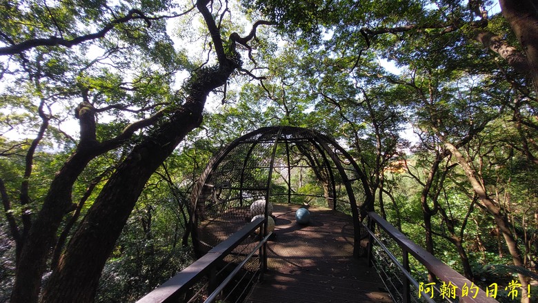 【桃園郊山】桃園的知名後花園 虎頭山公園｜桃園神社｜尋 曾經的小百岳 - 虎頭山三角點