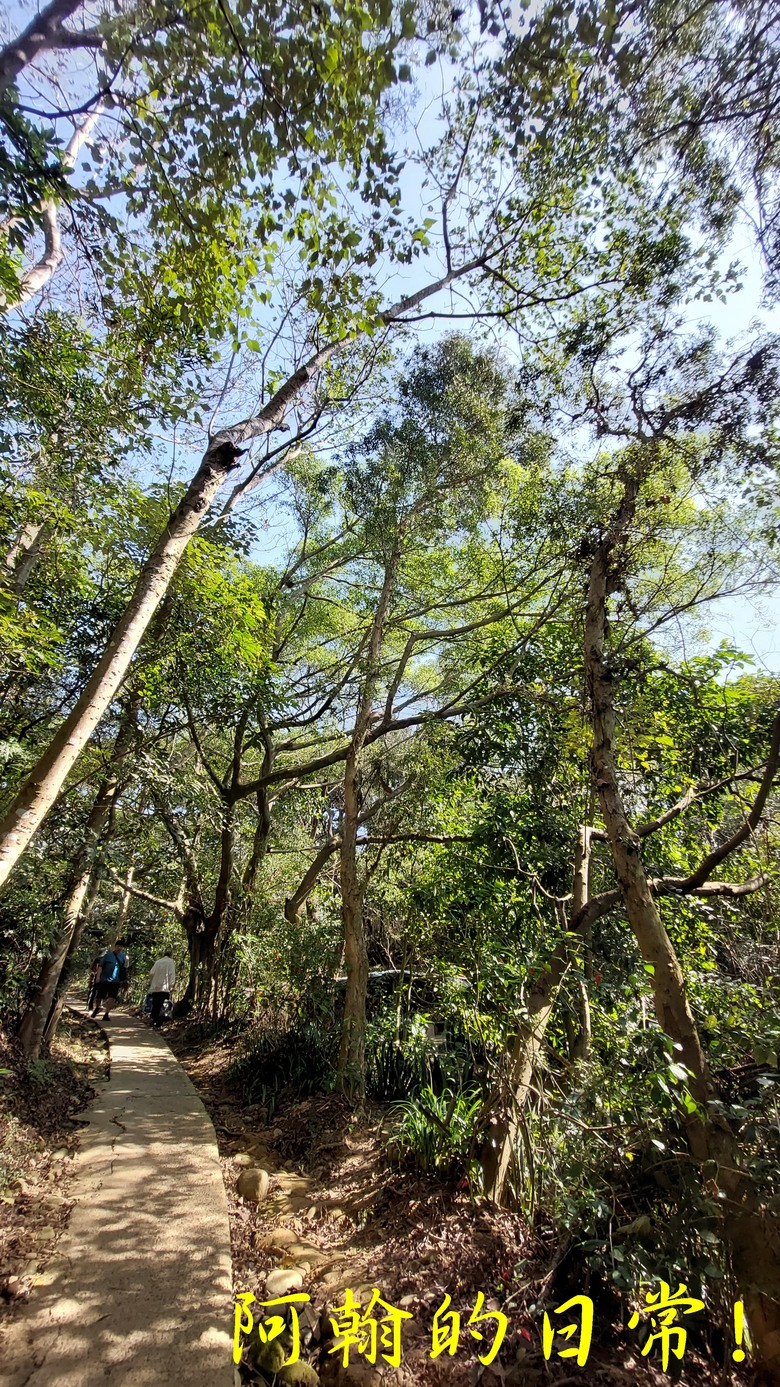 【桃園郊山】桃園的知名後花園 虎頭山公園｜桃園神社｜尋 曾經的小百岳 - 虎頭山三角點