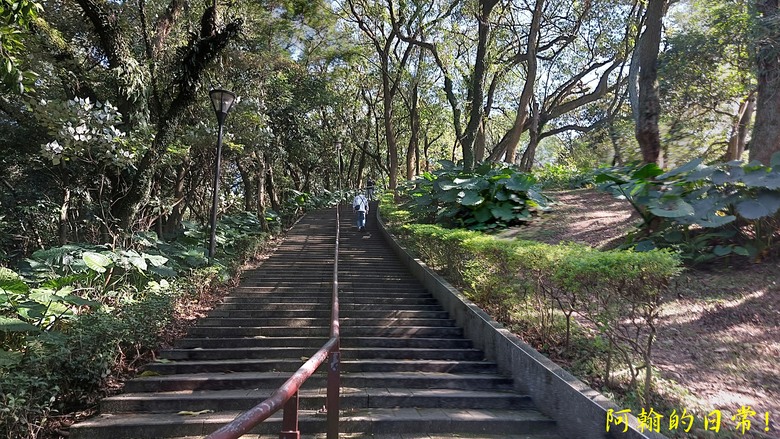 【桃園郊山】桃園的知名後花園 虎頭山公園｜桃園神社｜尋 曾經的小百岳 - 虎頭山三角點
