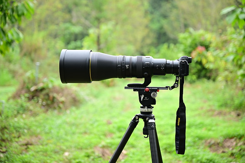 新年快樂！2025年元旦拍蜂鷹。