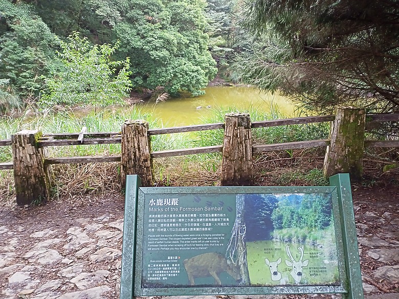 南橫天池