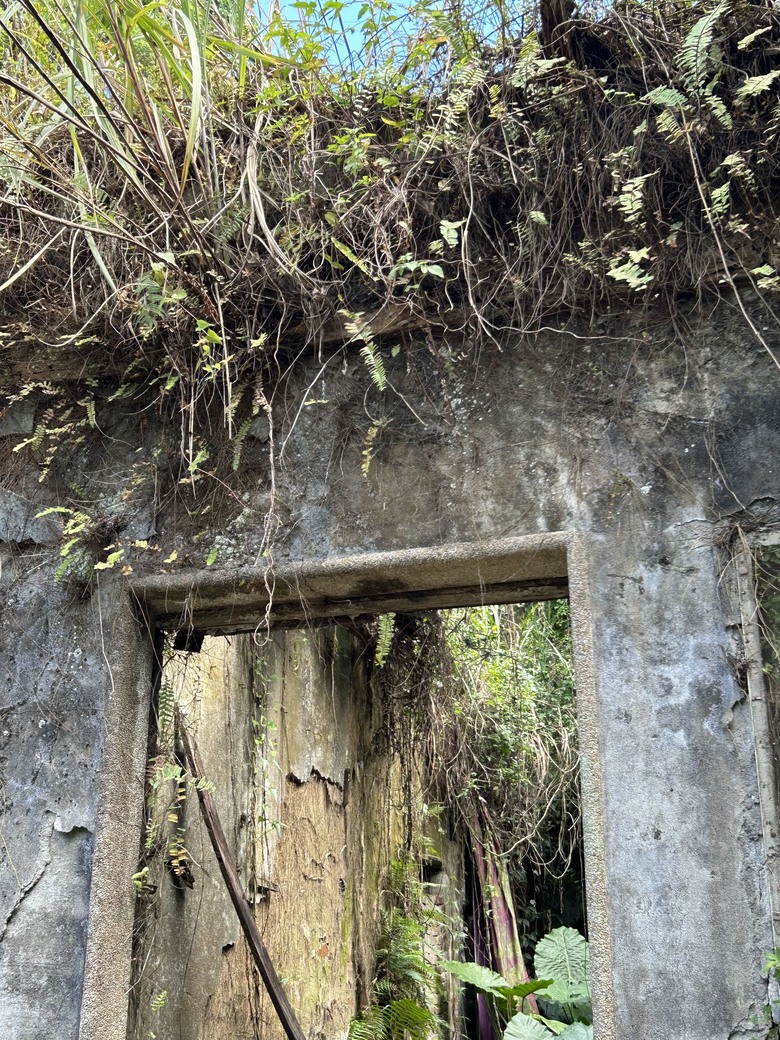1/29 冷水坑古道、復興媒礦事務所及文筆山，Element 輕旅行