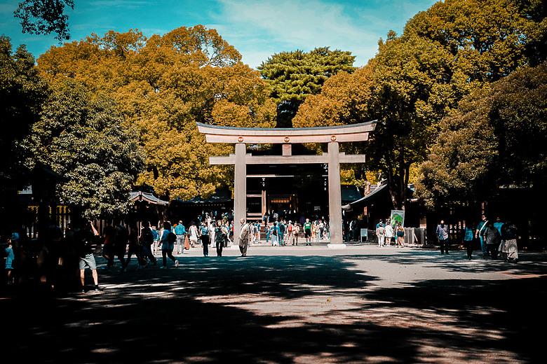 2024 東京之旅 with Sony A7 IV & Sigma 24-70mm f/2.8 DG DN II Art