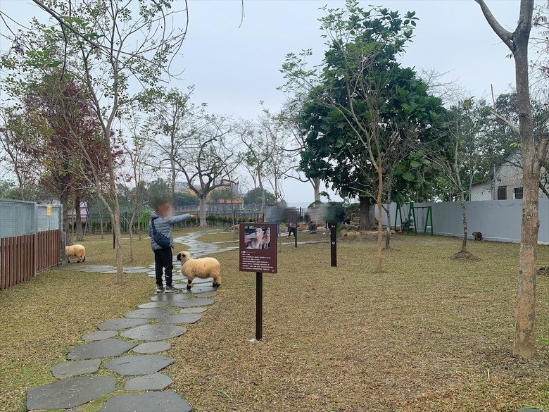 點我看大圖 許多可愛的超萌小動物,有超人氣的水豚君、笑笑羊,可以零距離和牠們互動