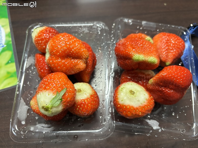 下集｜用旅行編織愛的記憶：一趟陪伴媽媽與孩子的日本之旅(Day2-京都、嵐山與心齋橋、十三車站篇)