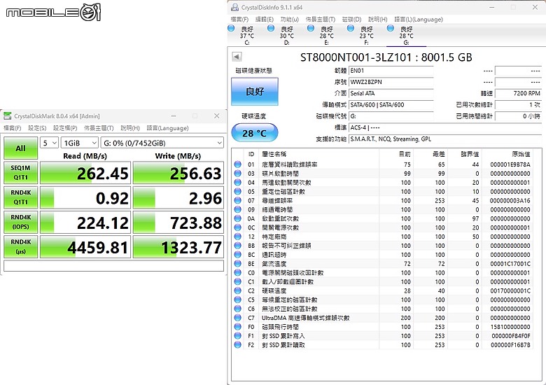 【開箱】那嘶狼更新小升級 | SEAGATE IronWolf PRO 8TB（ST8000NT001）