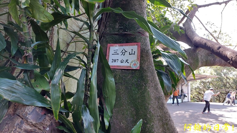 【桃園郊山】桃園的知名後花園 虎頭山公園|桃園神社|尋 曾經的小百岳 - 虎頭山三角點