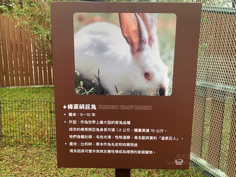 點我看大圖 許多可愛的超萌小動物,有超人氣的水豚君、笑笑羊,可以零距離和牠們互動