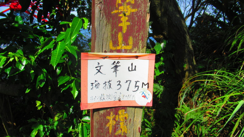 1/29 冷水坑古道、復興媒礦事務所及文筆山，Element 輕旅行