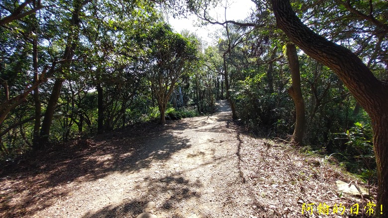【桃園郊山】桃園的知名後花園 虎頭山公園｜桃園神社｜尋 曾經的小百岳 - 虎頭山三角點