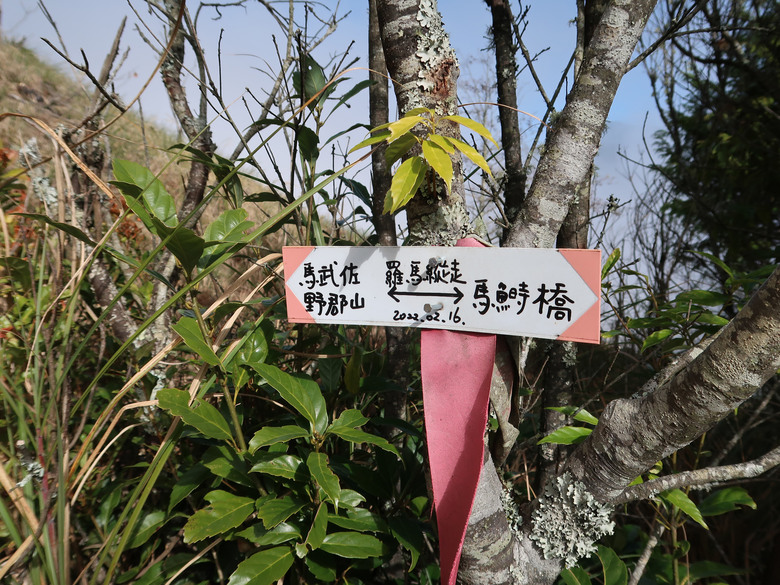 【羅馬縱走】台灣最美的一日縱走路線 | 童話森林與羅馬神木