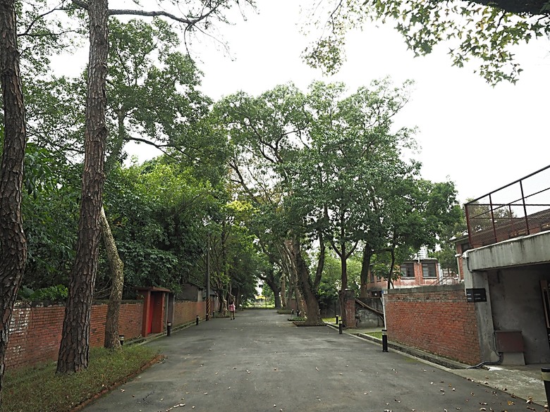 忠貞新村文化園區、異域故事館、太武新村眷村文化園區、中原文創園區、中庄吊橋與大漢溪山豬湖生態親水園區,吃吃喝喝之阿嬌米干與久留米日式咖哩 — 寒流來襲之中壢大溪一日遊