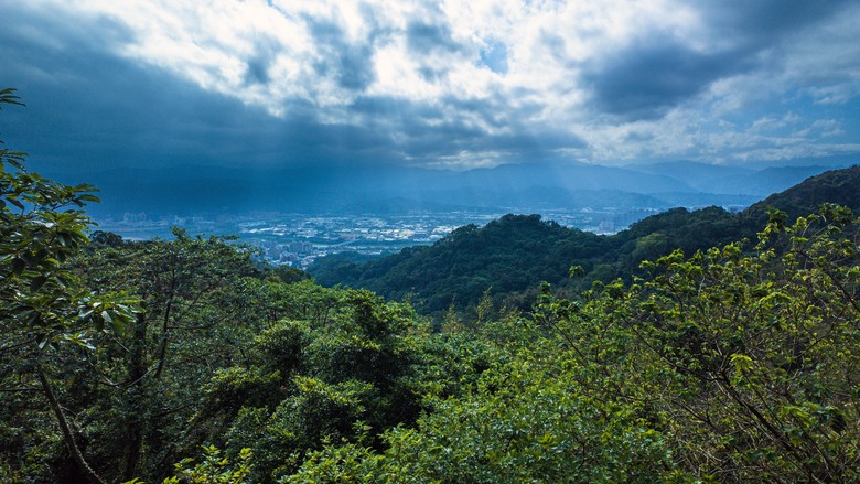 走進樹林秘境：山佳到鶯歌的自然之旅！牛埔山→石灰坑山→鶯歌石 9.45km、4h05m