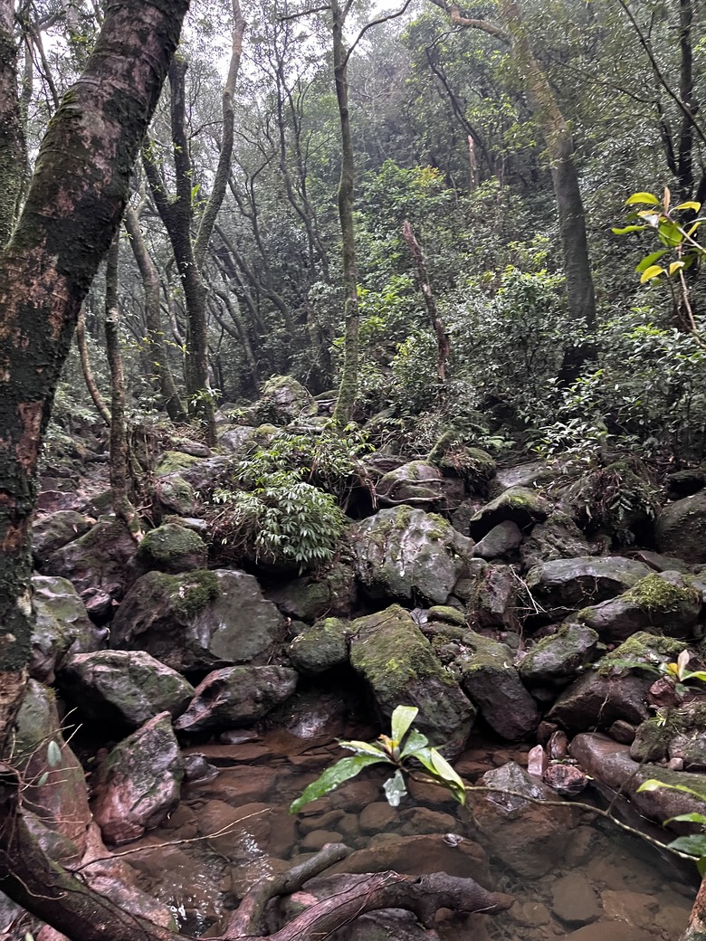 東湖_金山大縱走(鞋子順便玩泥巴)