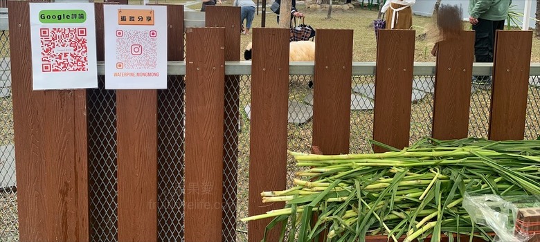 點我看大圖 許多可愛的超萌小動物,有超人氣的水豚君、笑笑羊,可以零距離和牠們互動