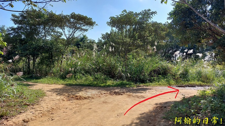 【桃園郊山】桃園的知名後花園 虎頭山公園|桃園神社|尋 曾經的小百岳 - 虎頭山三角點