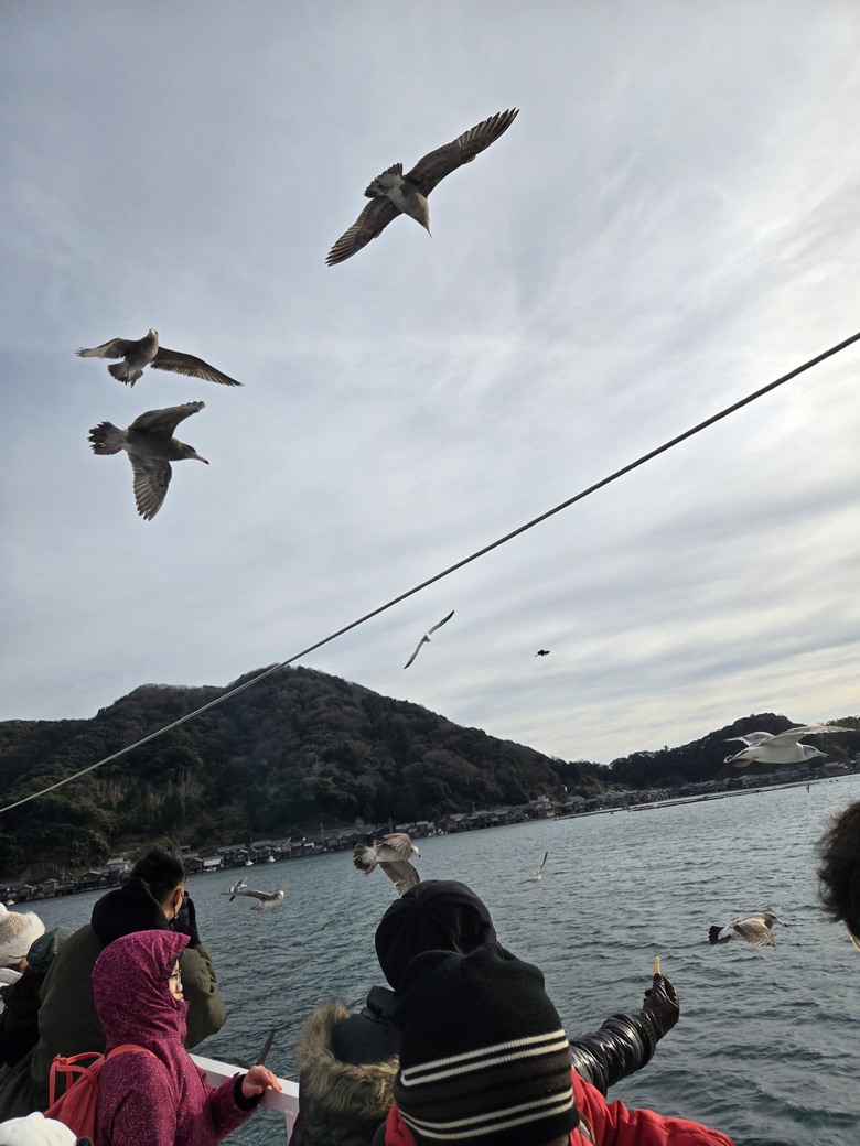 2024.12.25 日本京都天橋立 + 伊根舟屋&伊根灣遊船 一日遊