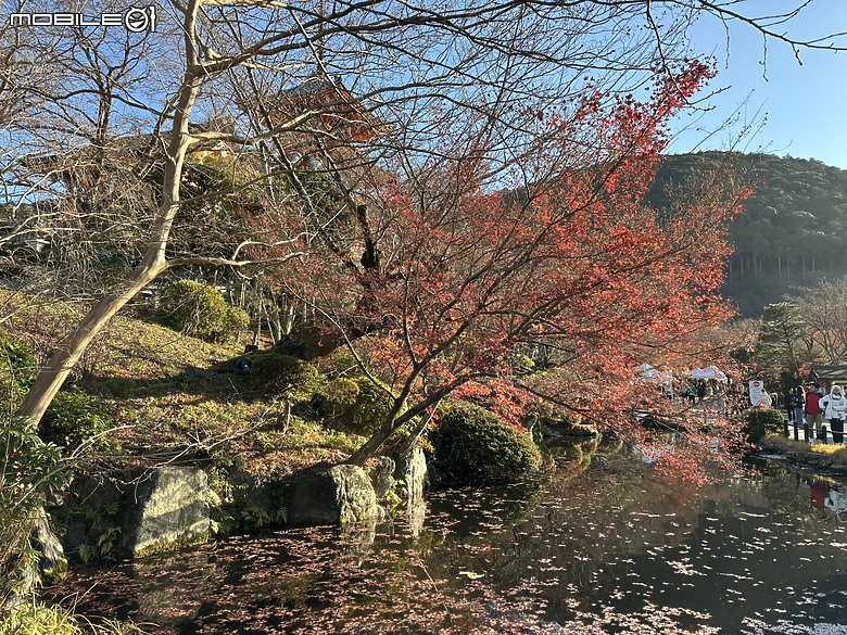 下集｜用旅行編織愛的記憶：一趟陪伴媽媽與孩子的日本之旅(Day2-京都、嵐山與心齋橋、十三車站篇)